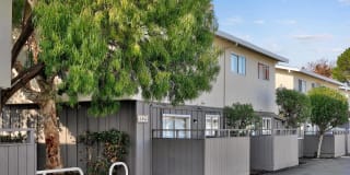 Bay Terrace Gallery 24
