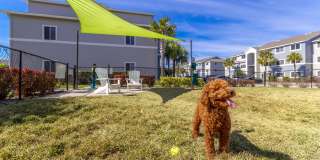 Lexington Palms at the Forum Gallery 31