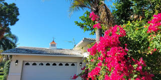 3666 Belle Vista Dr E Gallery 48