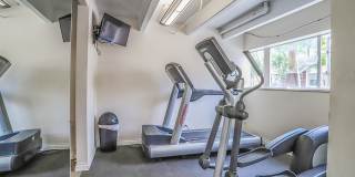 1300 Apartments Gallery 12