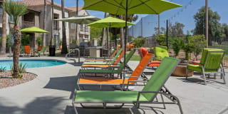 The Linq Gallery 3