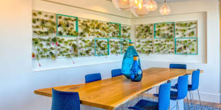 Ocean 650 Gallery 20