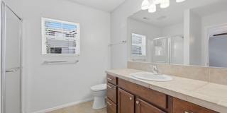 Lake Stevens Gem Gallery 17