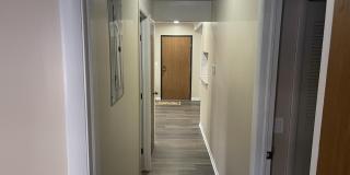 3005 Fernwood Avenue Gallery 9