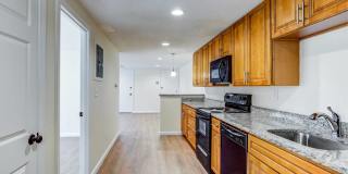 Dover Heights Gallery 13