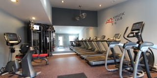 TGM Worthington Green Gallery 19