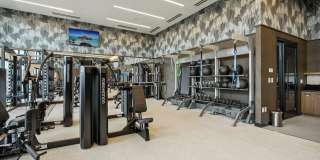 Skyline at Highlands Gallery 24