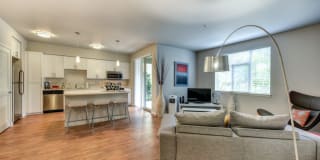 Madison Bellevue Gallery 7