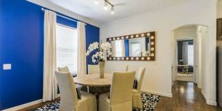 5311 Serene Hills Dr Gallery 8