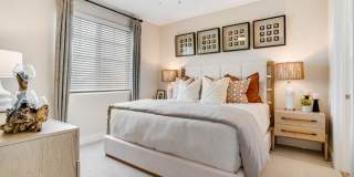 Yardly Bellalago Gallery 4