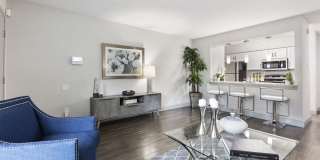 The Adalene Gallery 8