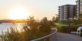 The Oliveen Gallery 31