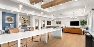 Alden North Knoxville Gallery 21