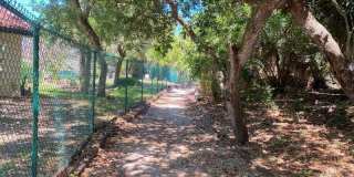 8759 Live Oak Court Gallery 30