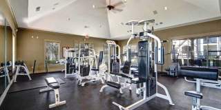 Woodland Park Gallery 16