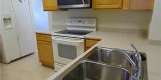 4 Bedroom 2 Bath in Summerfield Freshly painted, New Sod, Tile in all bedrooms! Gallery 8