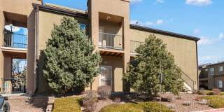 Immaculate 2 Bed 2 Bath Condo with Pikes Peak Views in D49!!! Gallery 4