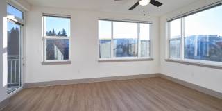 red160 Gallery 78