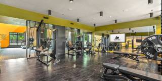 Lerner Black Hill Gallery 7