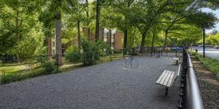 The Forest Apartments Gallery 32