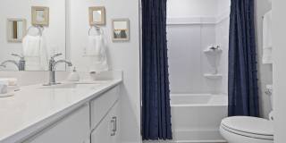 Artisan Living Mills River Gallery 16