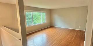 MINUTES TO QUANTICO (STAFFORD) - NO HOA - WALK TO NATURE PRESERVE Gallery 12