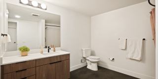 Hilite Gallery 42