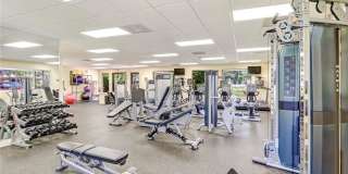 9901 Sunset Cove Lane unit: 226 Gallery 37