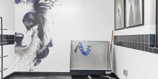The Grant Gallery 29