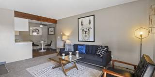 The Modern Gallery 14