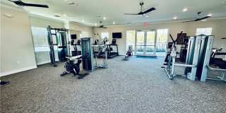 8465 Everly Preserve Drive Gallery 29