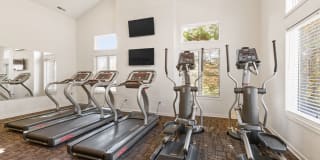 Bridgestone Gallery 22