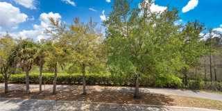 10888 ECLIPSE LILY WAY Gallery 19