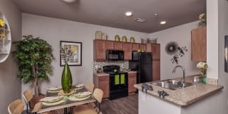 Roots at Waco Gallery 7