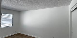 Maple Apartments Gallery 10