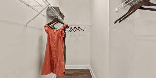 Arwen Vista Gallery 16