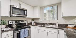 Vetra Chandler Gallery 23