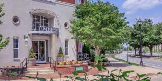 Emerson at Cherry Lane Emerson at Cherry Lane Gallery 1