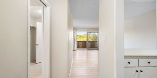 1327 Webster St #B305 - Studio | 1 bath | Condo Gallery 3