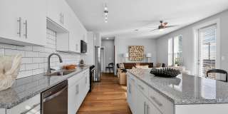 RISE Doro Gallery 16