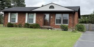 Spacious 4 bed / 2 bath home Gallery 1