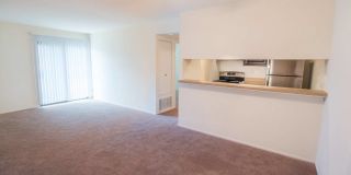 Forest Creek Gallery 6