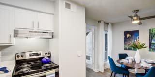 Allanza at the Lakes Gallery 32