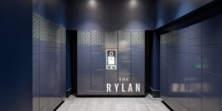 The Rylan Gallery 47