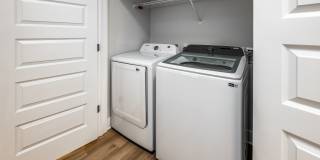 The ALIBI at Lake Lilly Gallery 26