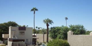 5641 N 78th Way Gallery 27