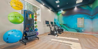 Bella Mirage Gallery 12