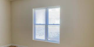 851 West Cornelia Ave. Apt. Gallery 1