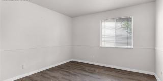 6550 Delmonico Drive Gallery 13