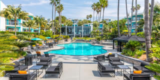 Ocean Club Gallery 14